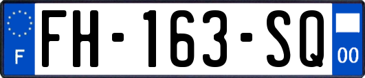 FH-163-SQ