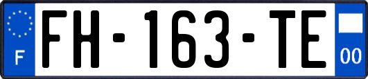 FH-163-TE