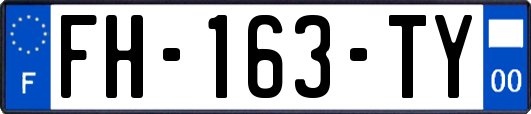 FH-163-TY