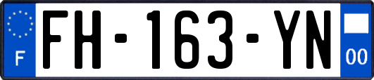 FH-163-YN