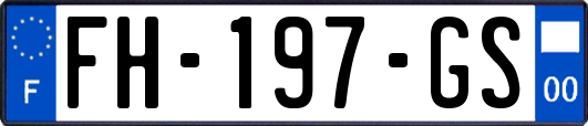 FH-197-GS