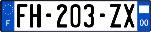 FH-203-ZX