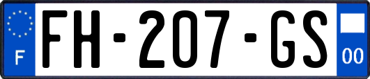 FH-207-GS