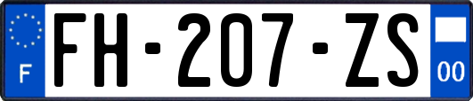 FH-207-ZS