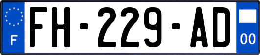 FH-229-AD