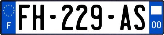 FH-229-AS