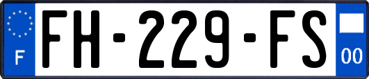 FH-229-FS