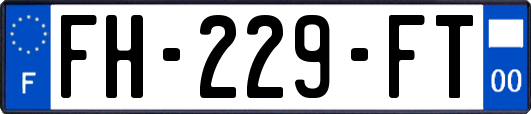 FH-229-FT