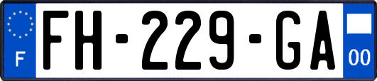 FH-229-GA