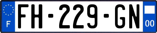 FH-229-GN