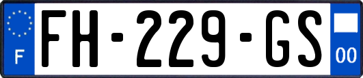 FH-229-GS