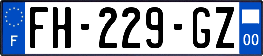 FH-229-GZ