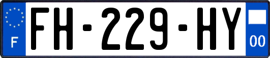 FH-229-HY