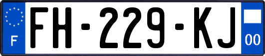 FH-229-KJ