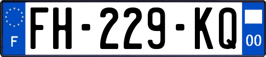 FH-229-KQ