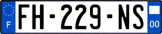 FH-229-NS