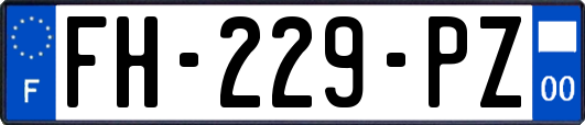 FH-229-PZ