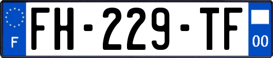 FH-229-TF