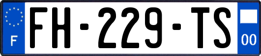 FH-229-TS