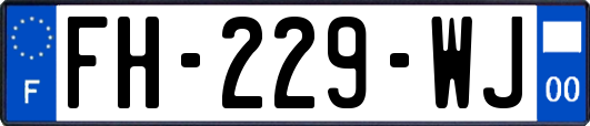 FH-229-WJ