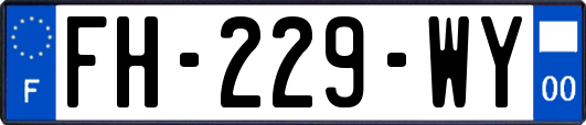 FH-229-WY