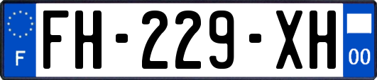 FH-229-XH