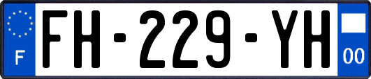 FH-229-YH