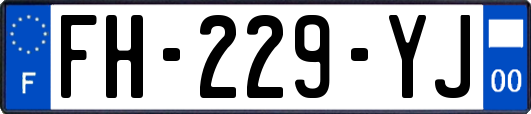 FH-229-YJ