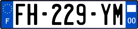 FH-229-YM