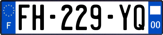 FH-229-YQ