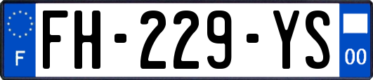 FH-229-YS