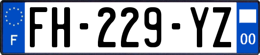 FH-229-YZ