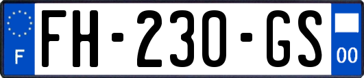 FH-230-GS