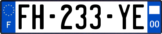 FH-233-YE