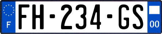 FH-234-GS