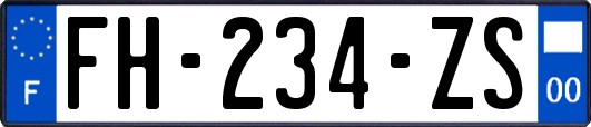 FH-234-ZS