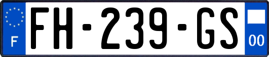 FH-239-GS