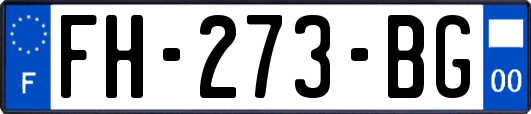 FH-273-BG