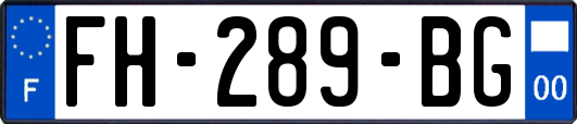 FH-289-BG