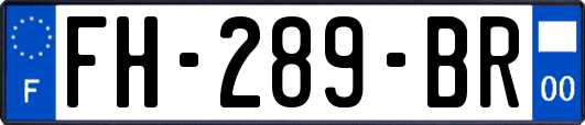 FH-289-BR