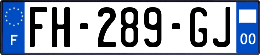 FH-289-GJ