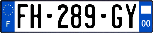 FH-289-GY