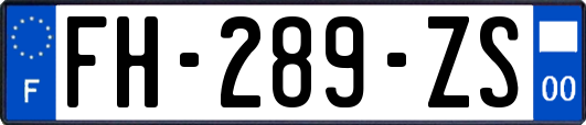 FH-289-ZS