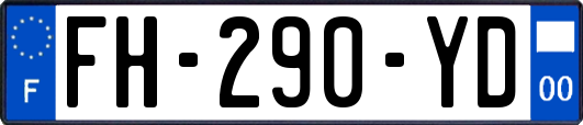 FH-290-YD