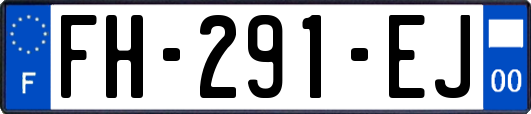 FH-291-EJ