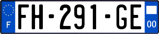 FH-291-GE