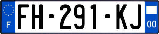 FH-291-KJ