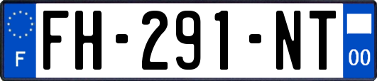 FH-291-NT