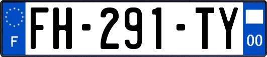 FH-291-TY