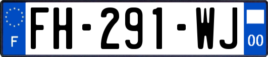 FH-291-WJ